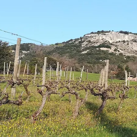 Terre De Crussol - 3 Etoiles En Ardeche, Avec Piscine Et Clim, 2-4 Personnes Apartment
